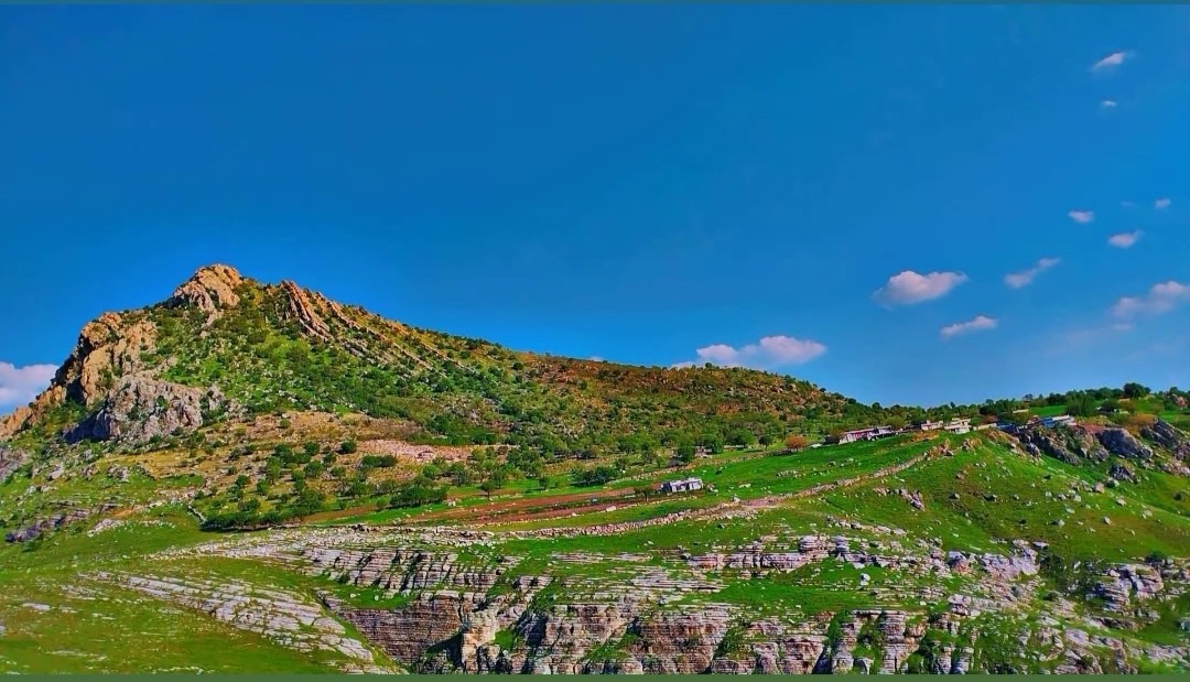 گوندی هەوارە بەرزە