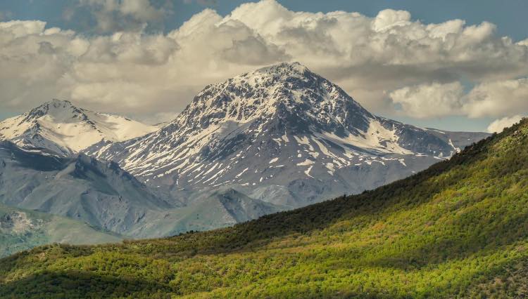 شاخی هەڵگورد
